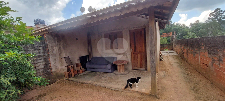 Foto REO1080340