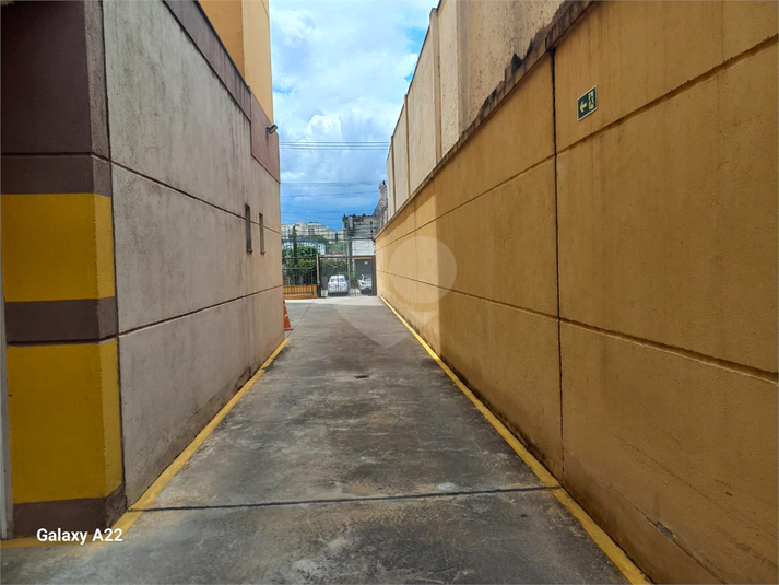 Foto REO1080360