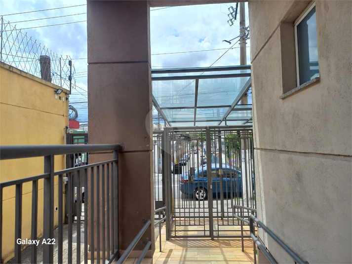 Foto REO1080360