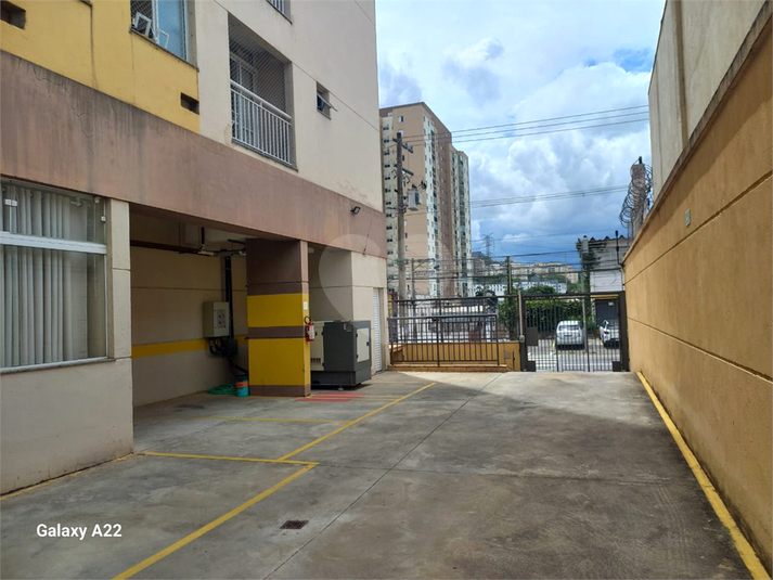 Foto REO1080360