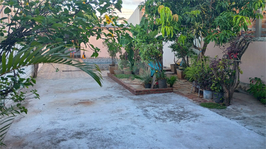 Foto REO1080367