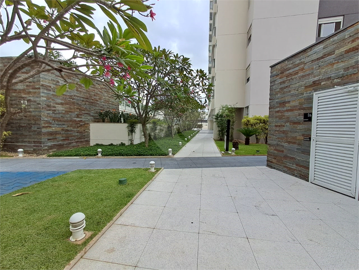 Foto REO1080378