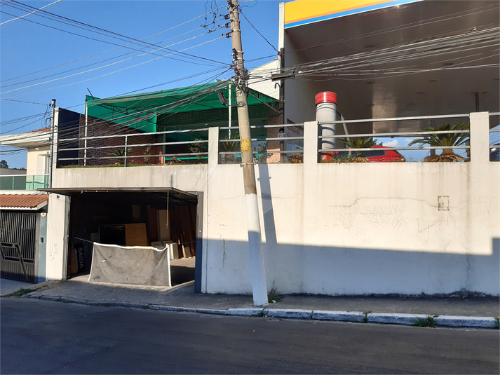 Foto REO1080379