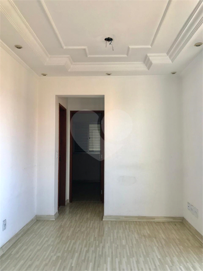 Foto REO1080382