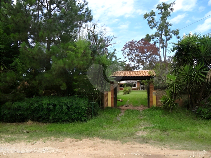 Foto REO1080425