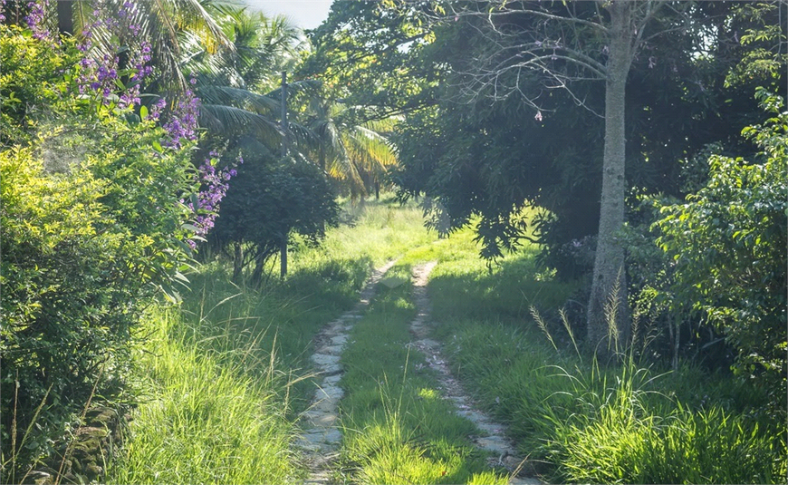 Foto REO1080512