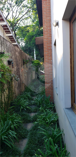 Foto REO1080556