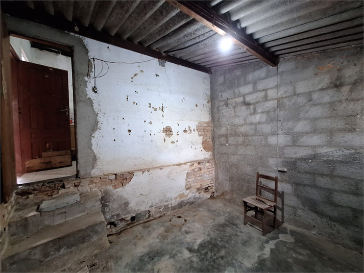 Foto REO1080567
