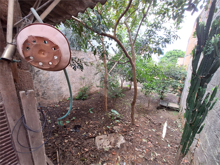 Foto REO1080567