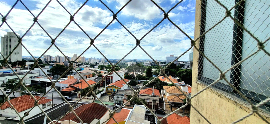 Foto REO1080599