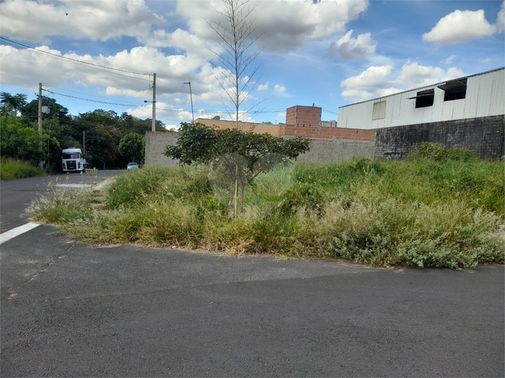 Foto REO1080627