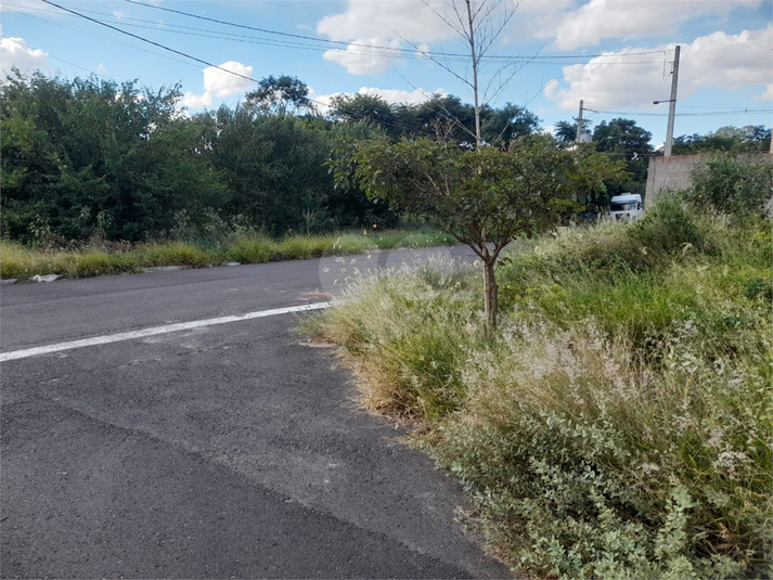 Foto REO1080627