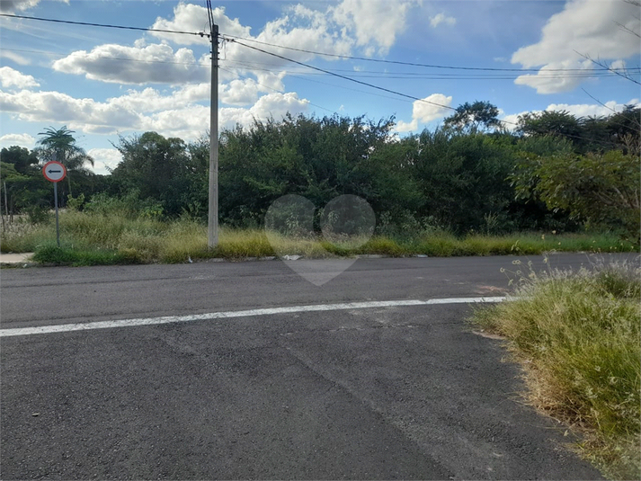 Foto REO1080627