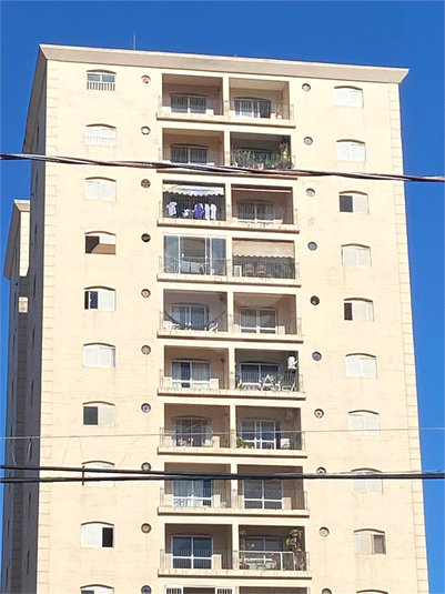 Foto REO1080642