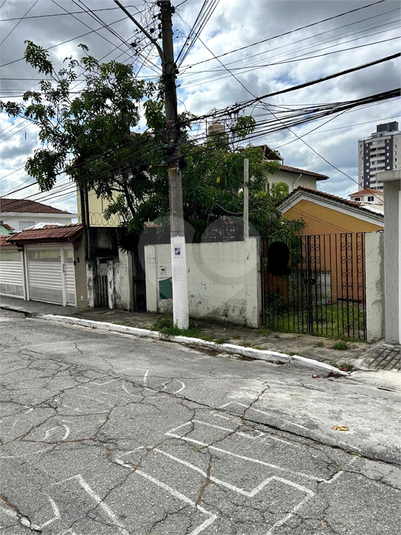 Foto REO1080661