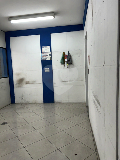 Foto REO1080666