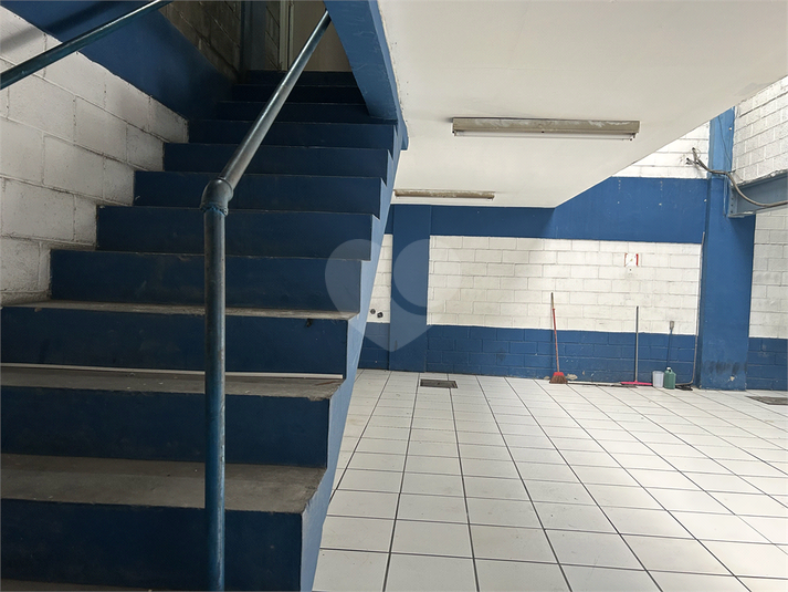 Foto REO1080666