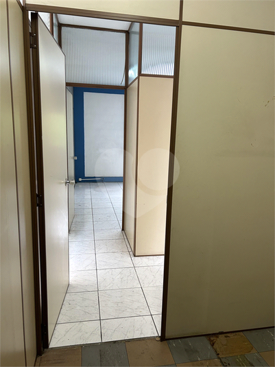 Foto REO1080668