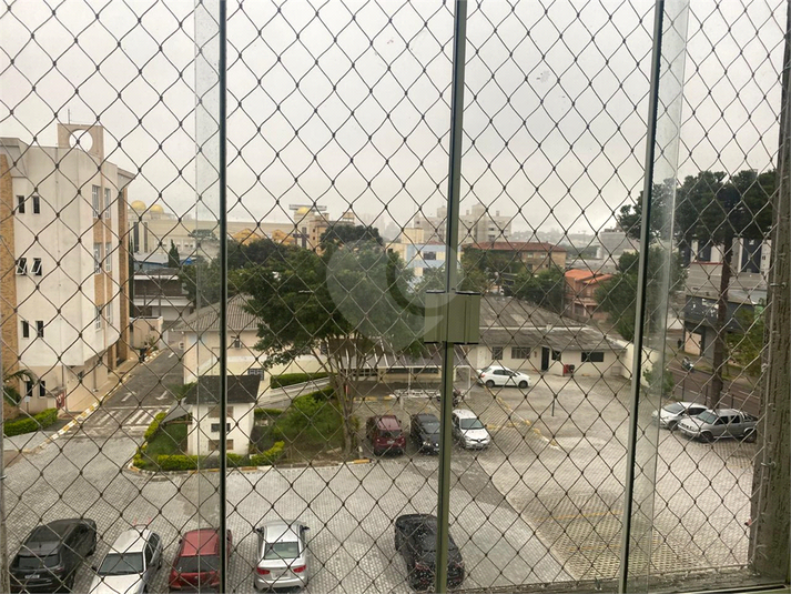 Foto REO1080671