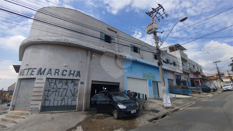 Foto REO1080685