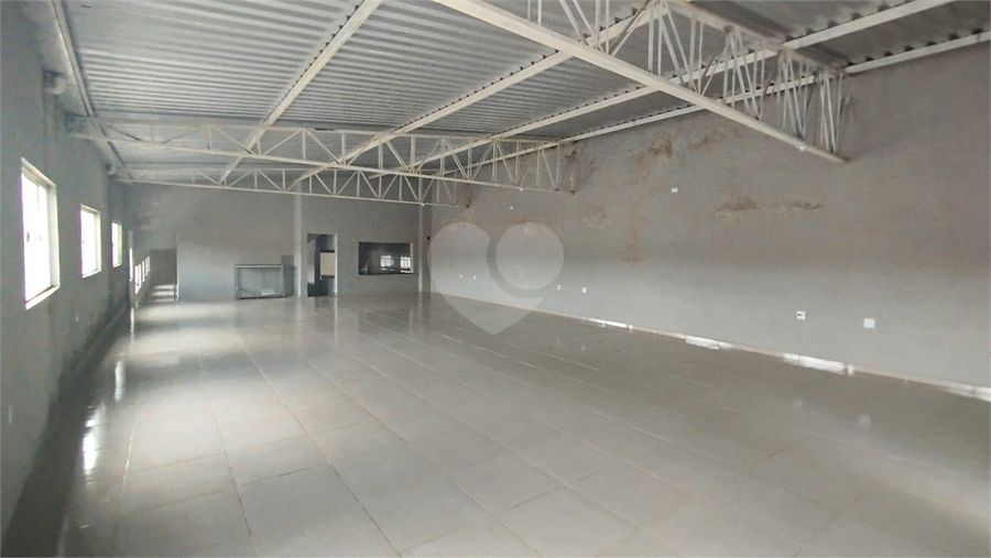Foto REO1080685