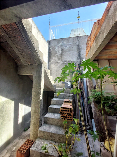 Foto REO1080691