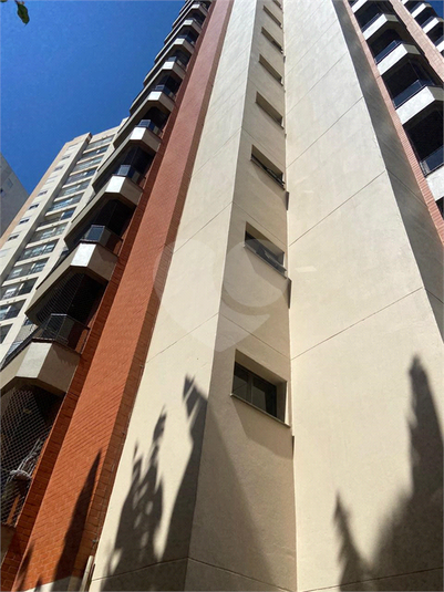 Foto REO1080740