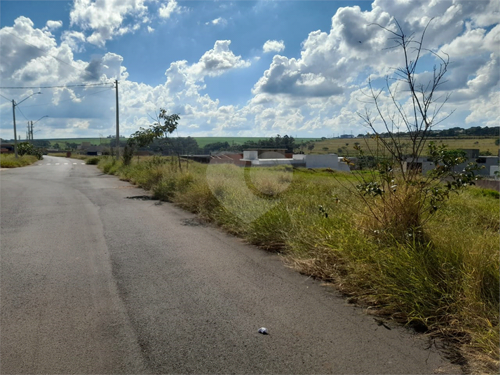 Foto REO1080741