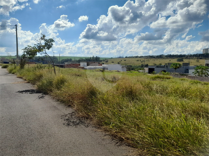Foto REO1080741