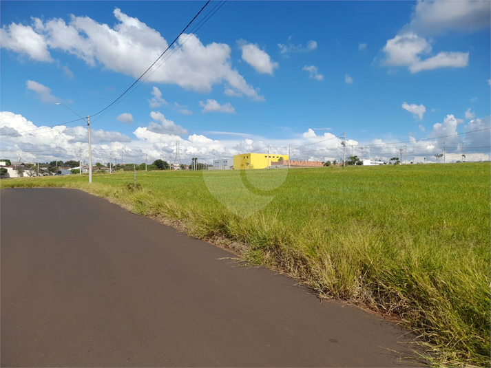 Foto REO1080741