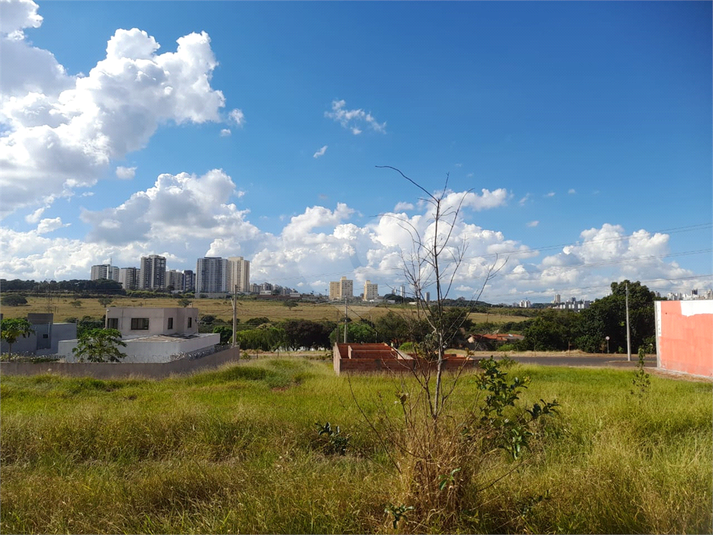 Foto REO1080741