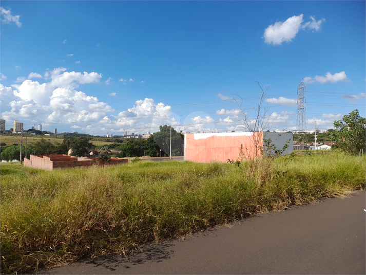 Foto REO1080741