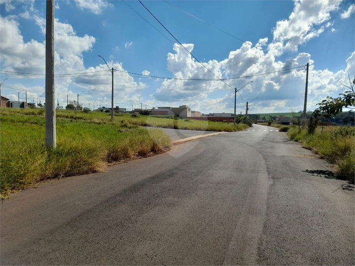 Foto REO1080741