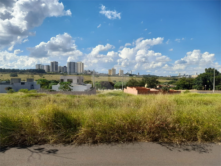 Foto REO1080741
