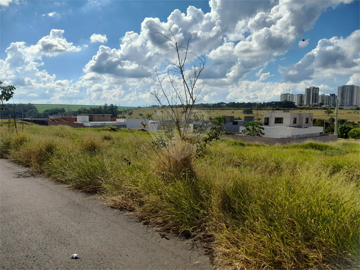 Foto REO1080741