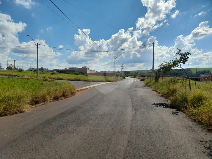 Foto REO1080741