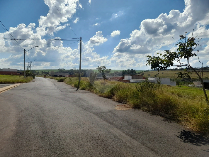 Foto REO1080741