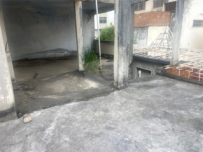 Foto REO1080746