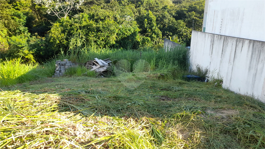 Foto REO1080749