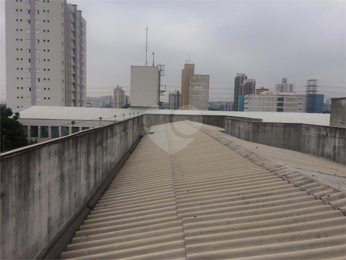 Foto REO1080763