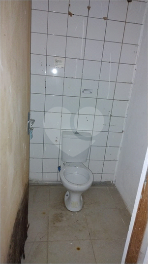 Foto REO1080768