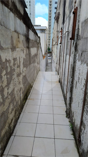 Foto REO1080768