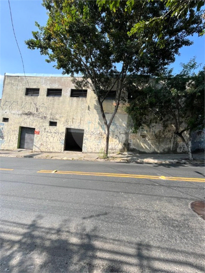 Foto REO1080803