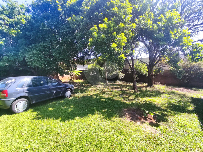 Foto REO1080830