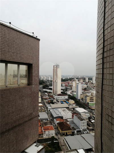 Foto REO1080834