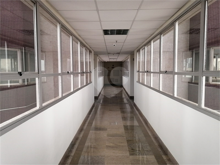 Foto REO1080834