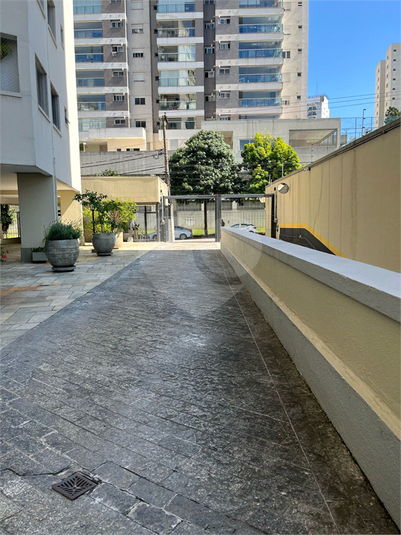 Foto REO1080839