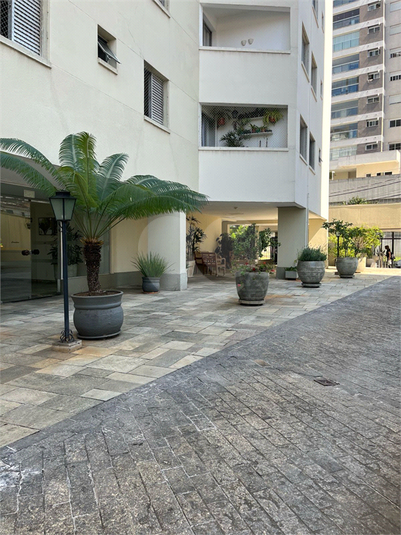 Foto REO1080839