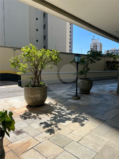 Foto REO1080839
