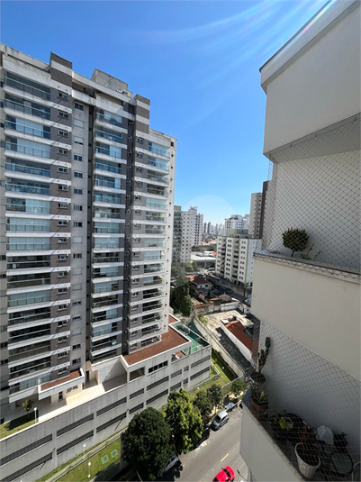 Foto REO1080839